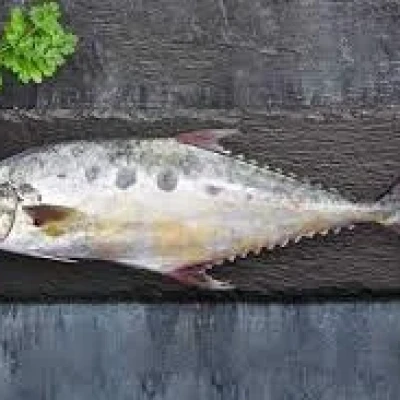 Falai Cut Cleaned - 1 kg