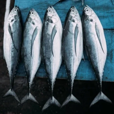 Kaat Bangda Cut Cleaned - 1 kg ( 3-4 pcs )