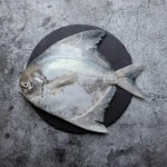 Kapri Cut Cleaned - 1 kg ( 1-2 pcs )