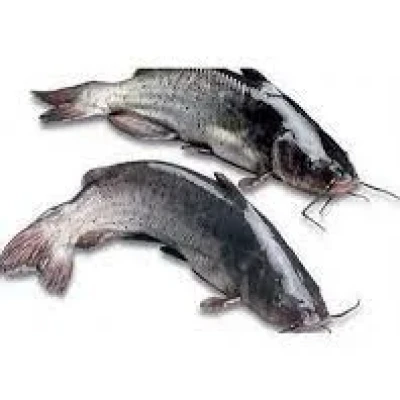 Mudosa Cut Cleaned - 1 kg